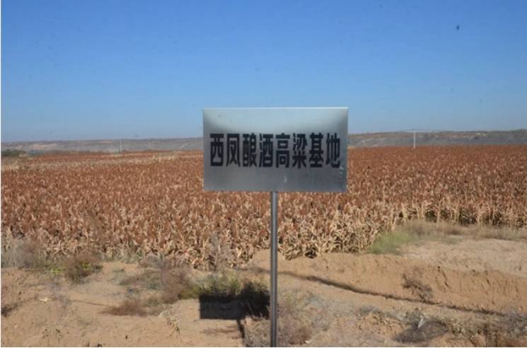 西鳳酒：展現(xiàn)傳統(tǒng)釀造技藝<strong></p>
<p>西鳳酒
</strong>，卓越品質(zhì)續(xù)寫華章:西鳳酒
