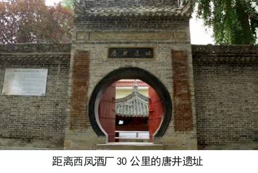 西鳳酒：傳承釀造經(jīng)典，品味醉美鳳香:西鳳酒
