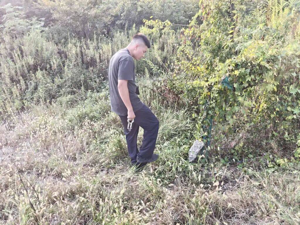 浙江一姑娘以奶茶為記號(hào)，竟然在草叢里藏了11萬(wàn)現(xiàn)金！:西鳳酒
