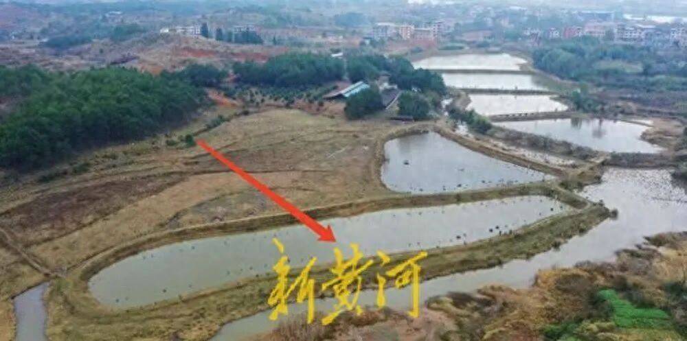 65歲農(nóng)婦荒塘養(yǎng)魚被判“非法占用農(nóng)地”：羈押10月后免刑，仍喊“我沒罪”:西鳳酒
