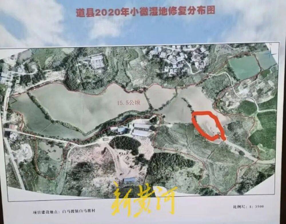 65歲農(nóng)婦荒塘養(yǎng)魚被判“非法占用農(nóng)地”：羈押10月后免刑<strong></p>
<p>西鳳酒
</strong>，仍喊“我沒罪”:西鳳酒
