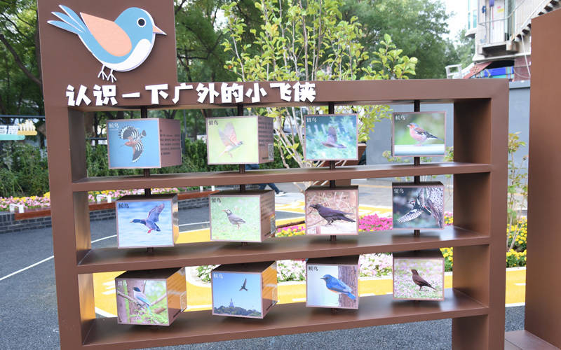 西城區(qū)廣外街道：“斷頭路”變身口袋公園<strong></p>
<p>西鳳酒
</strong>，裝滿民生“微幸福”:西鳳酒
