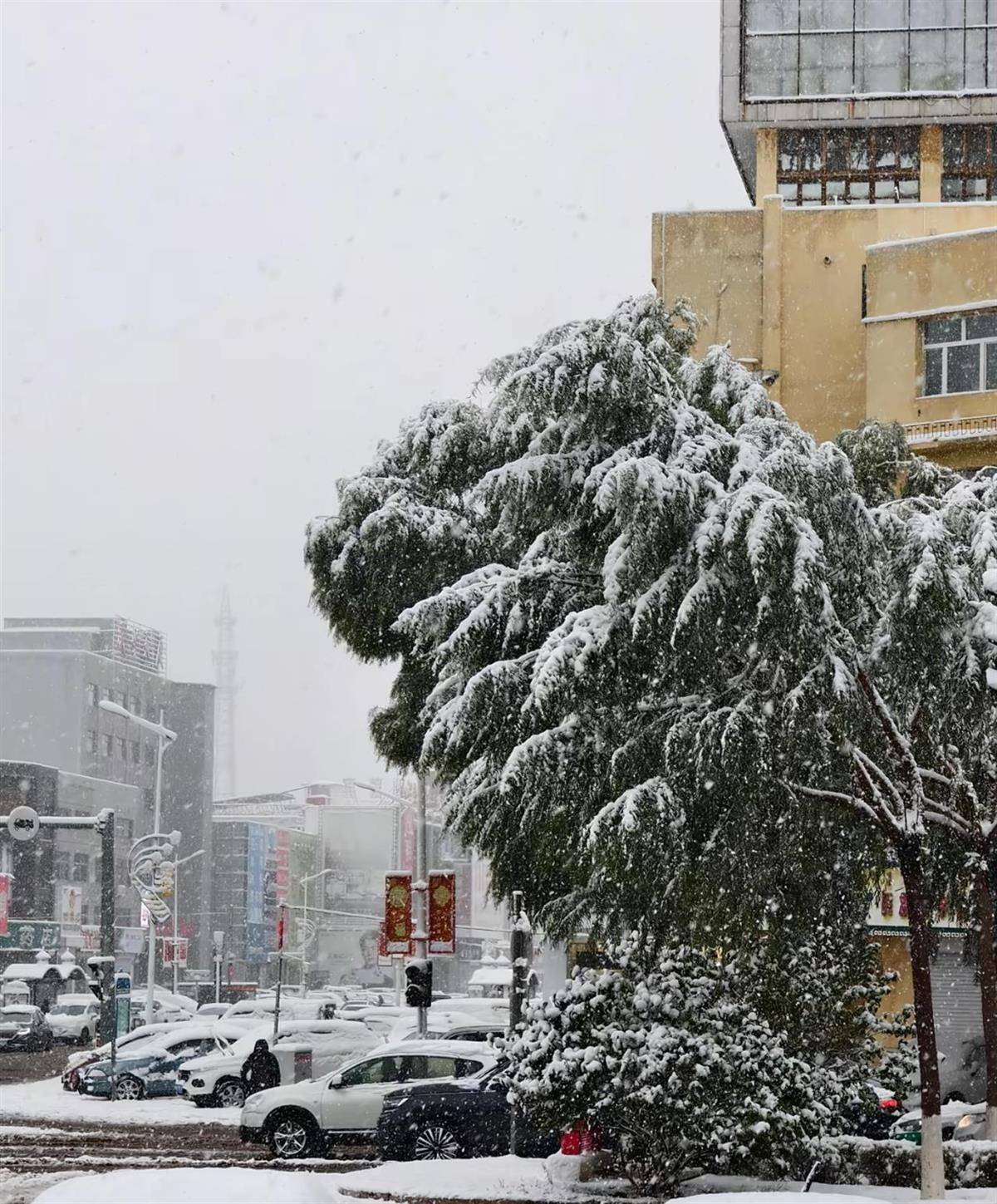 北方多地迎來(lái)第一場(chǎng)雪<strong></p>
<p>西鳳酒
</strong>，黑龍江局地已出現(xiàn)暴雪，積雪深5厘米，氣象專(zhuān)家稱(chēng)今年初雪略提前:西鳳酒
