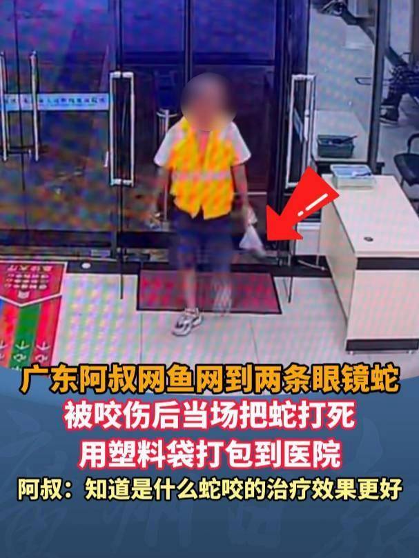 廣東62歲阿叔網(wǎng)魚網(wǎng)到2條眼鏡蛇，被咬傷后當(dāng)場(chǎng)打死，并打包提進(jìn)醫(yī)院:西鳳酒
