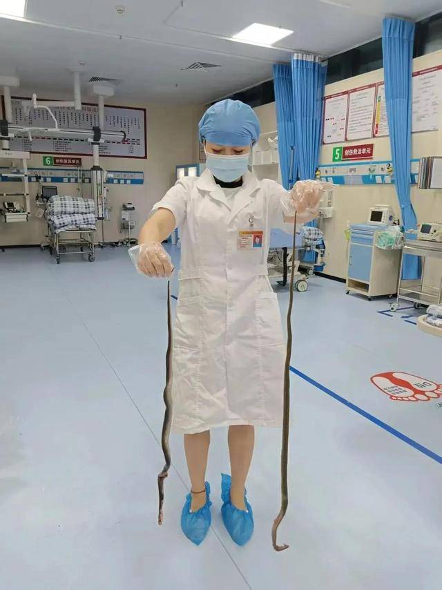 廣東62歲阿叔網(wǎng)魚網(wǎng)到2條眼鏡蛇<strong></p>
<p>西鳳酒
</strong>，被咬傷后當場打死，并打包提進醫(yī)院:西鳳酒
