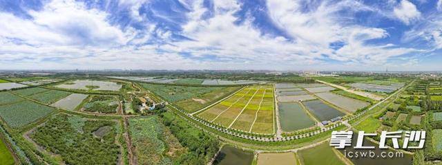 荒灘變綠洲 湖畔起樂園｜一江碧水向東流:西鳳酒
