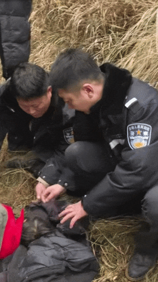 遼寧4歲女童稱睡醒后自行下車，迷路后睡在草地，期間無人接觸；其母發(fā)聲:西鳳酒
