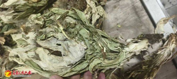 烏魯木齊貨車司機接了一單“玫瑰花”生意，背后竟牽出300萬大案:西鳳酒
